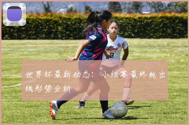 世界杯最新动态:小组赛最终轮出线形势分析